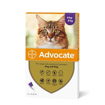 Advocate Spot On Solution For Large Cat (4-8kg) 1 Dose