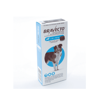 Bravecto for Ticks And Fleas 1000mg 20kg-40kg (1 Chew) -  - PetsOffice
