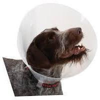 Buster Clic Elizabethan Collar 20cm -  - PetsOffice