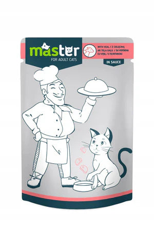 Master Cat Wet Food Beef Sauce Pouch 80g