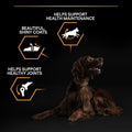 Pro Plan Large Athletic Adult Chicken 14kg -  - PetsOffice