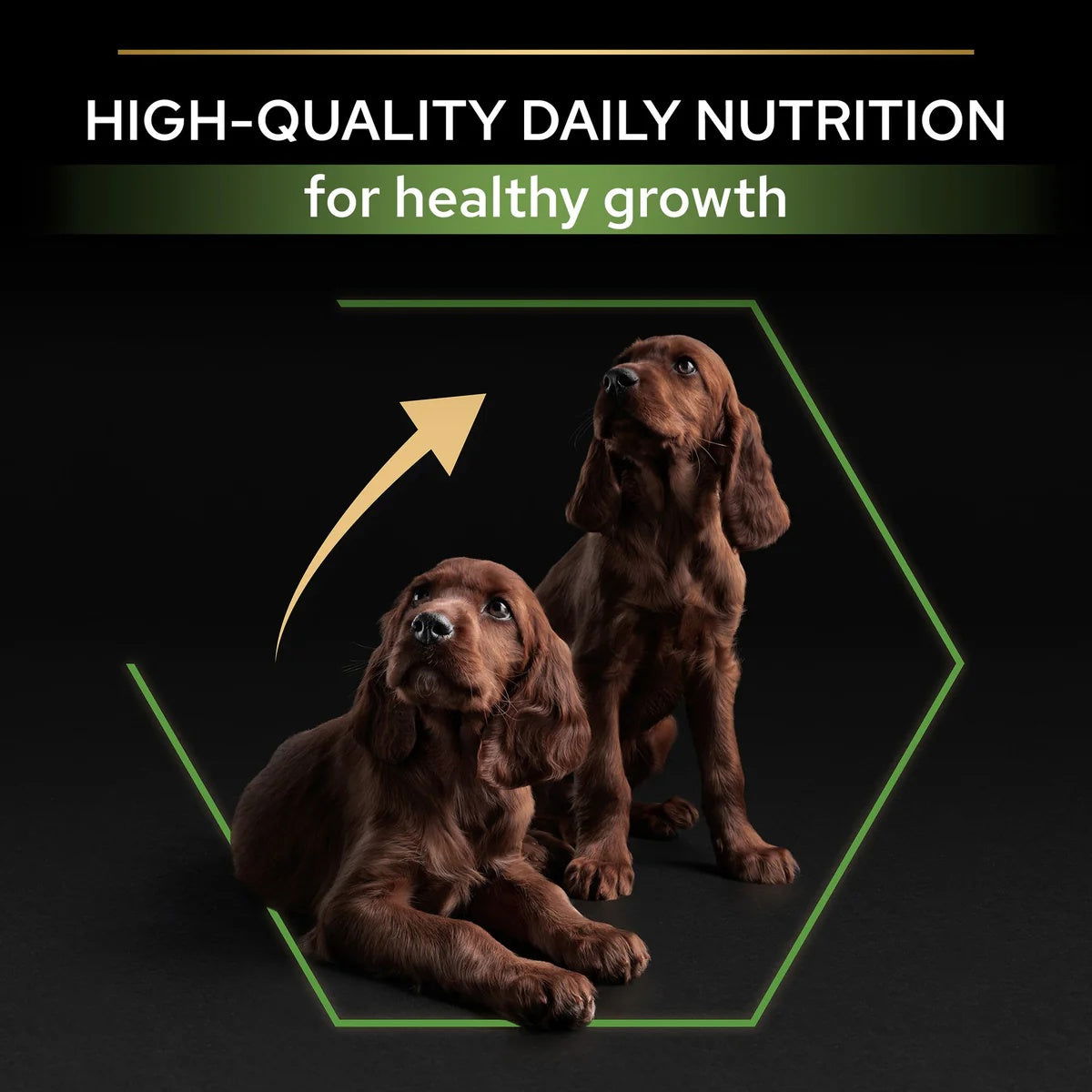 Pro Plan Large Athletic Puppy Chicken 12kg -  - PetsOffice