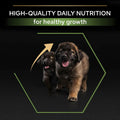 Pro Plan Large Robust Puppy Chicken 12kg -  - PetsOffice