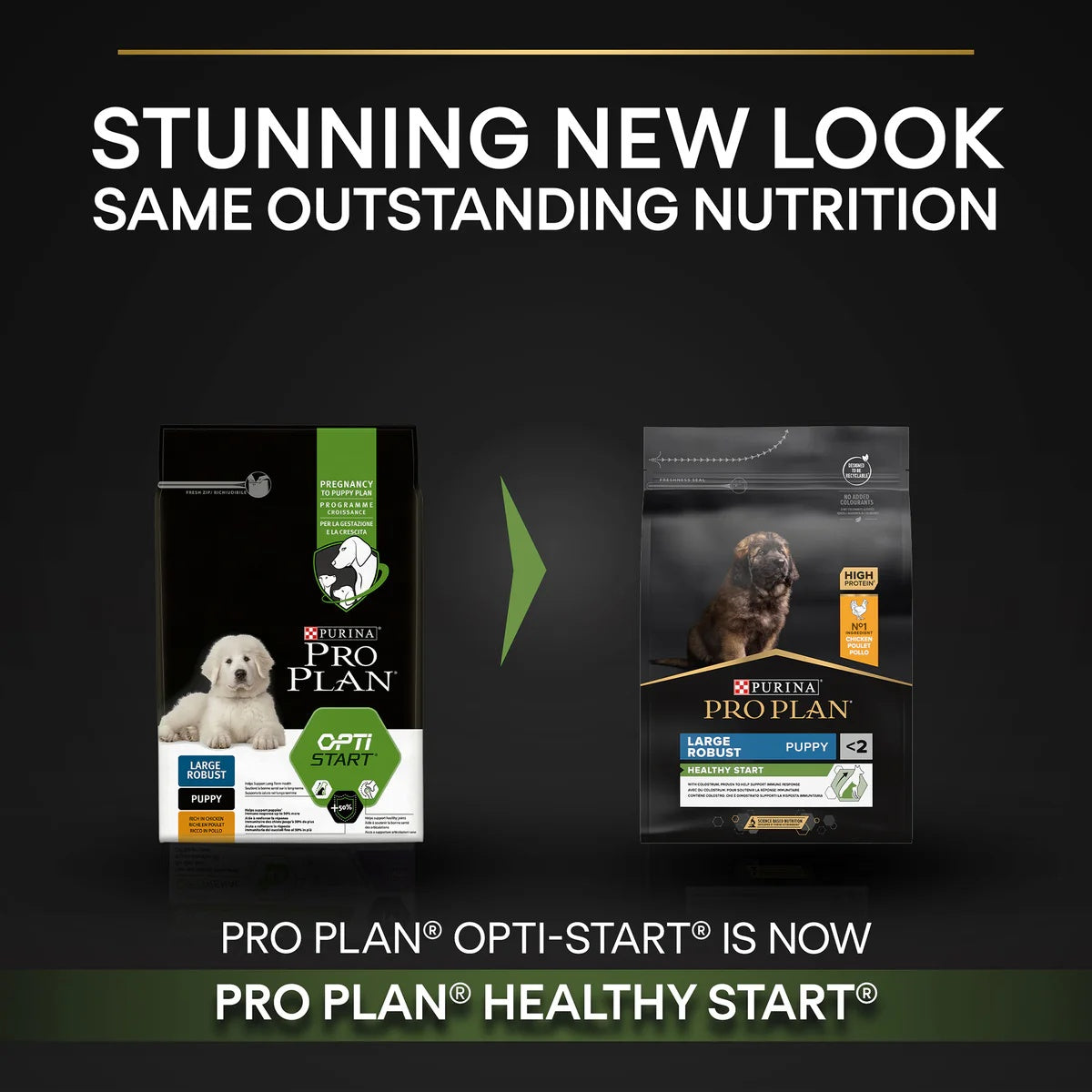 Pro Plan Large Robust Puppy Chicken 3kg -  - PetsOffice