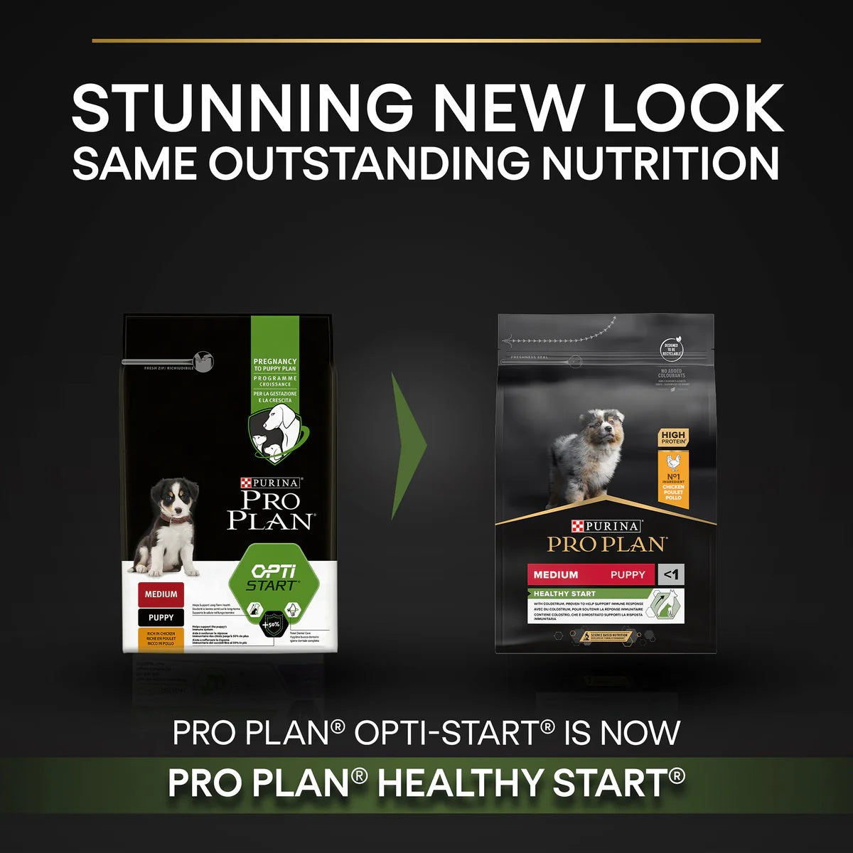 Pro Plan Medium Puppy Chicken 3kg -  - PetsOffice