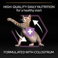 Pro Plan Original Kitten Chicken 1.5kg -  - PetsOffice