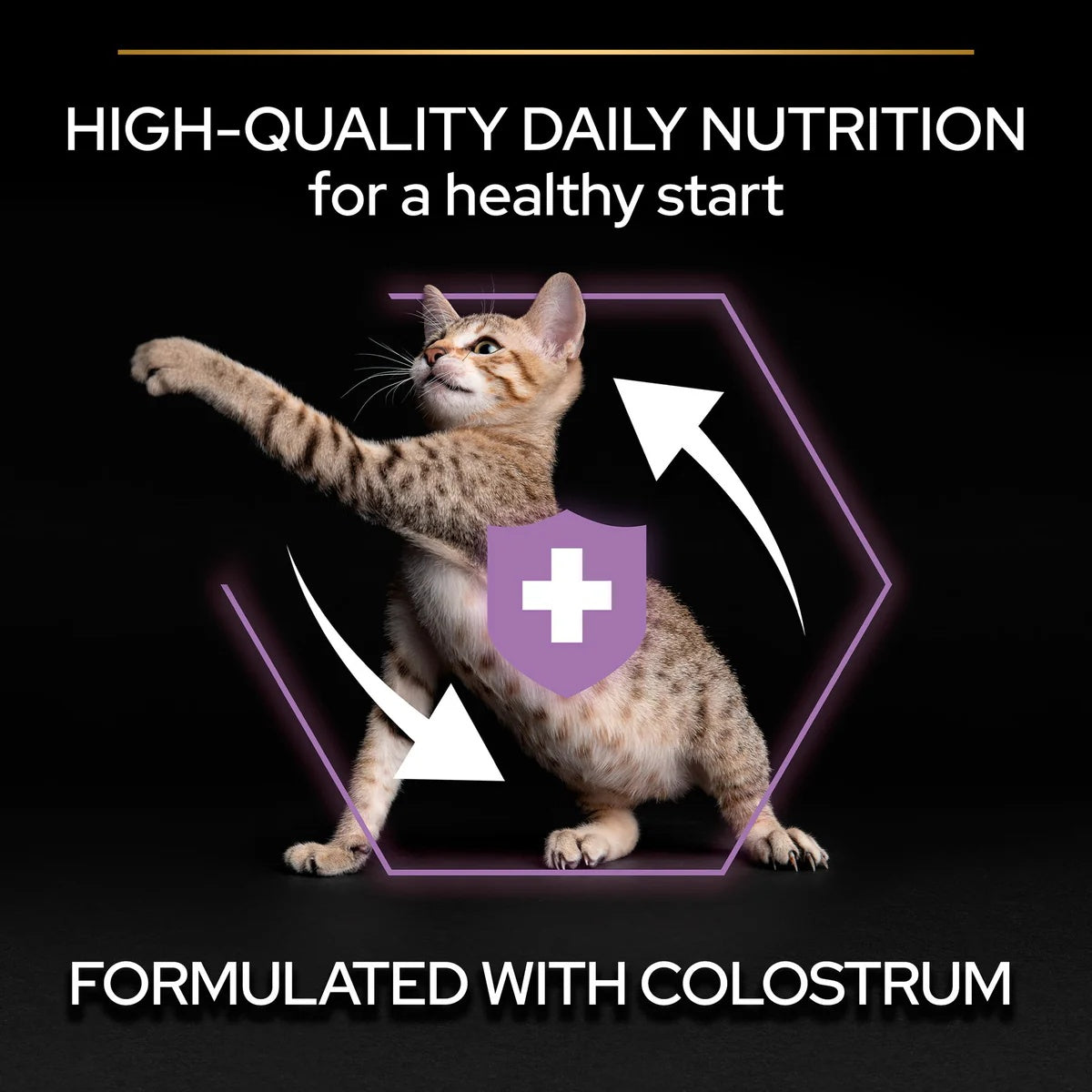 Pro Plan Original Kitten Chicken 1.5kg -  - PetsOffice