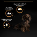 Pro Plan Small&Mini Adult Chicken 3kg -  - PetsOffice