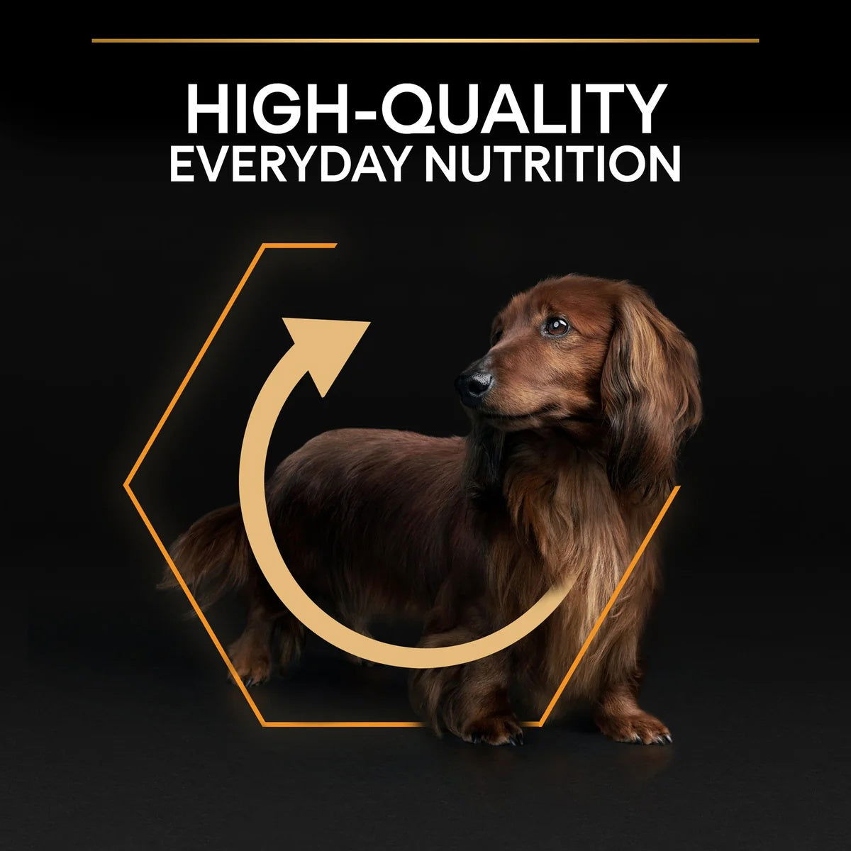 Pro Plan Small&Mini Adult Chicken 3kg -  - PetsOffice