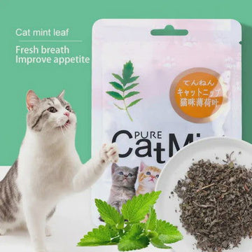 Pure Cat Mint Powder(Catnip) 5g -  - PetsOffice