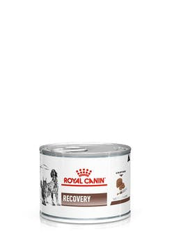 Royal Canin Recovery Dog 195g