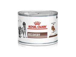 Royal Canin Recovery Dog 195g