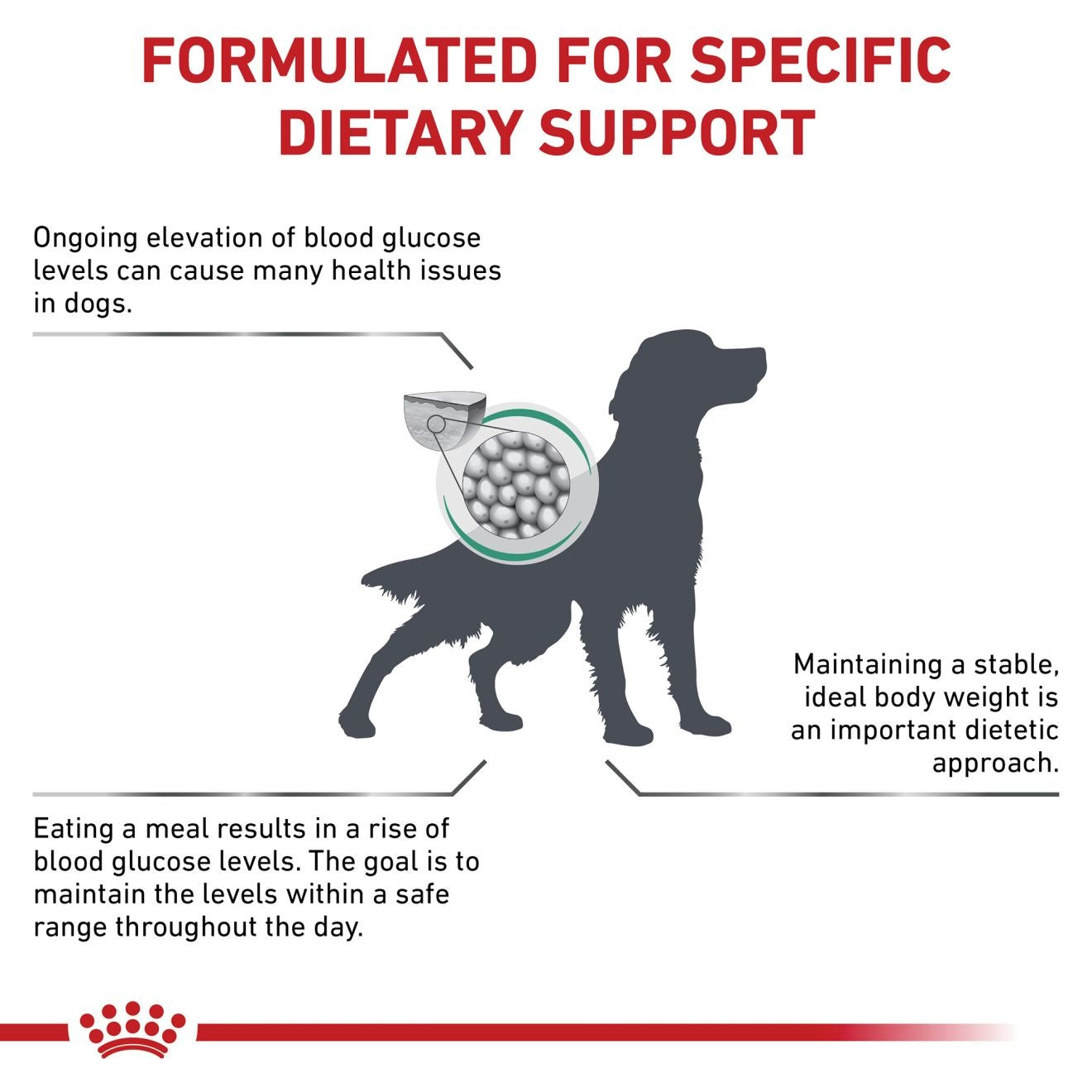 Royal Canin Diabetic Dog Dry Food 1.5kg -  - PetsOffice