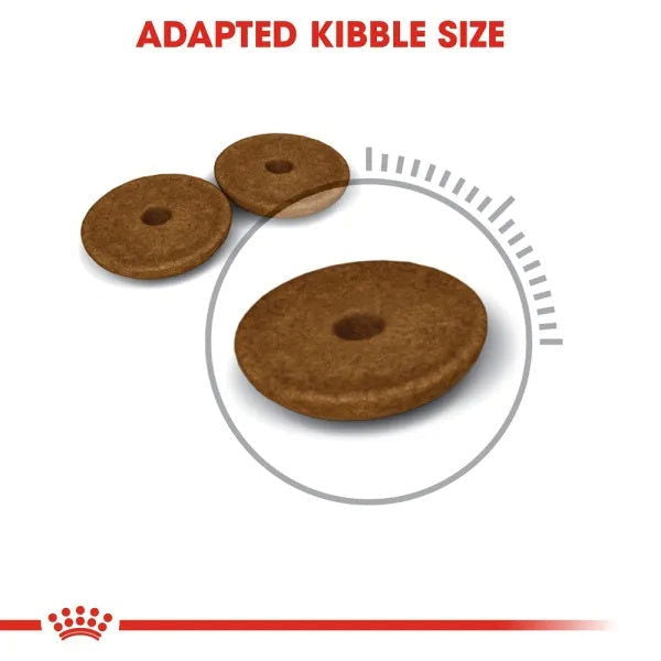 Royal Canin Digestive Cat Dry Food 400g -  - PetsOffice