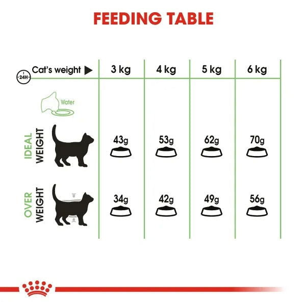 Royal Canin Digestive Cat Dry Food 400g -  - PetsOffice