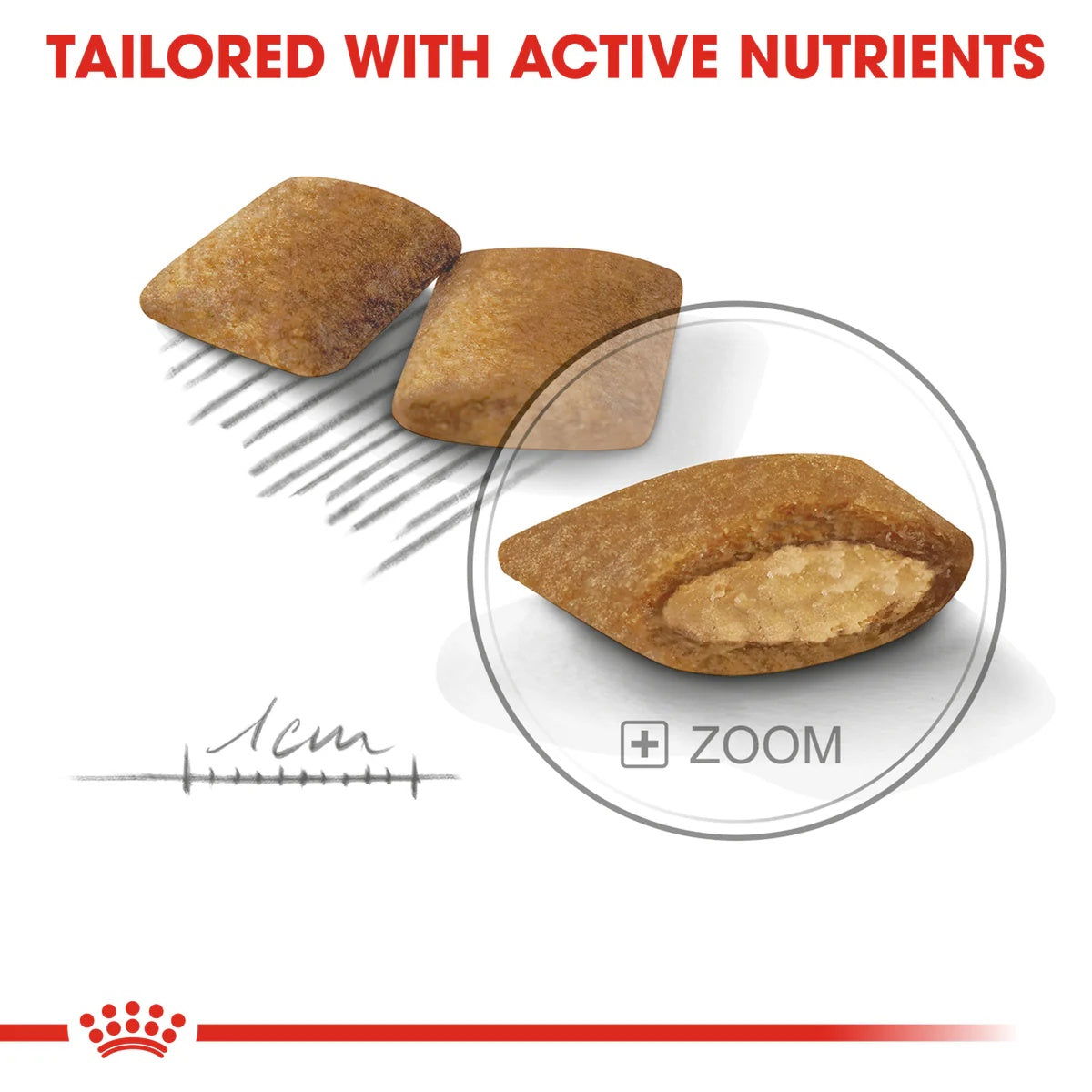 Royal Canin Dog Mini Exigent 3kg -  - PetsOffice