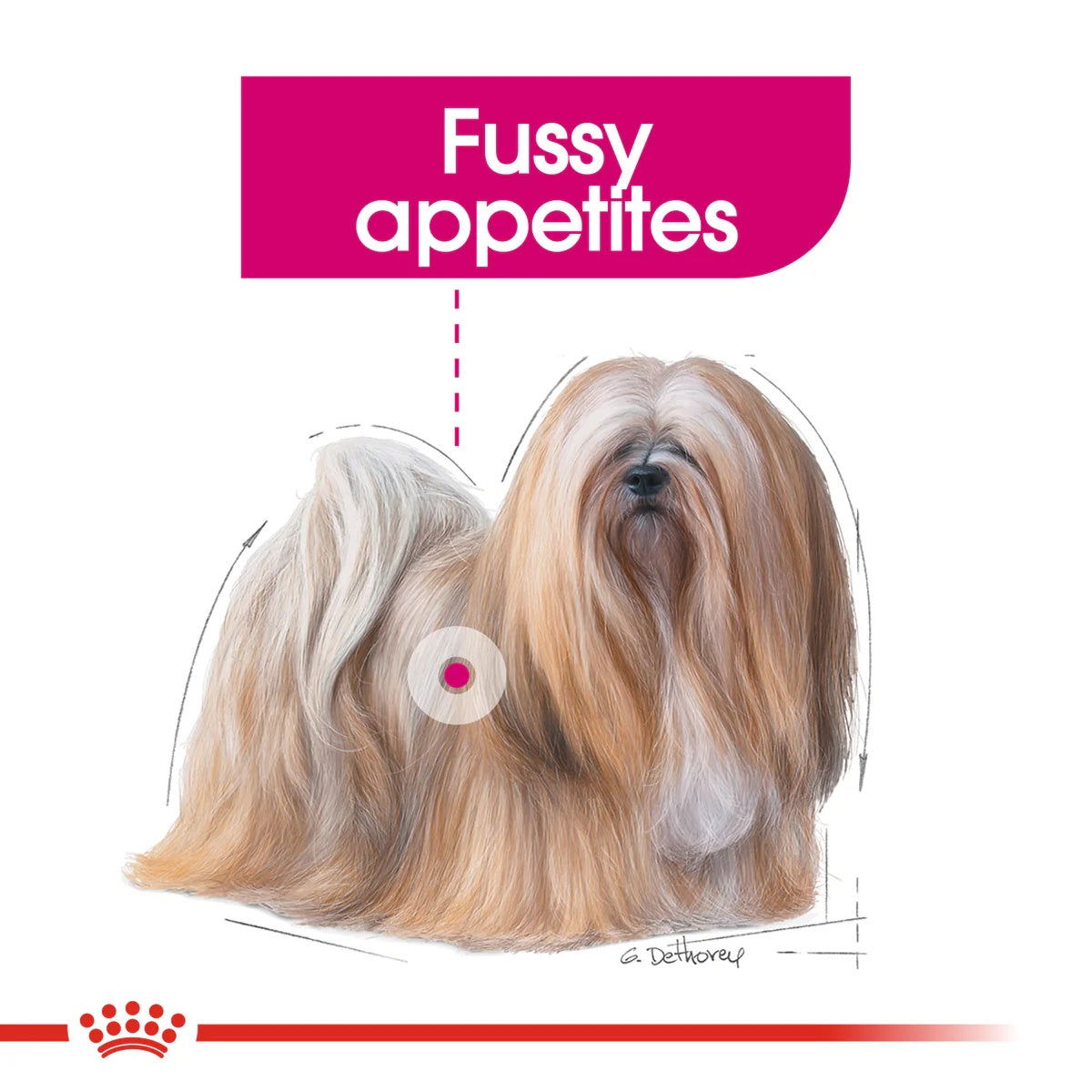 Royal Canin Dog Mini Exigent 3kg -  - PetsOffice