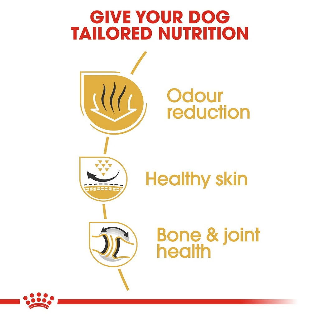 Royal Canin English Bulldog 3kg -  - PetsOffice