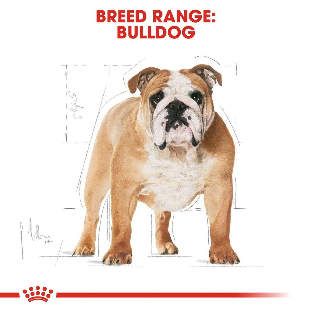 Royal Canin English Bulldog 3kg -  - PetsOffice
