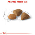 Royal Canin Exigent Savour 2kg -  - PetsOffice