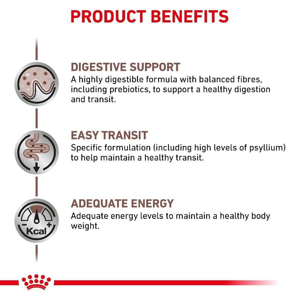Royal Canin Gastrointestinal Fibre Response Cat Dry Food 400g -  - PetsOffice