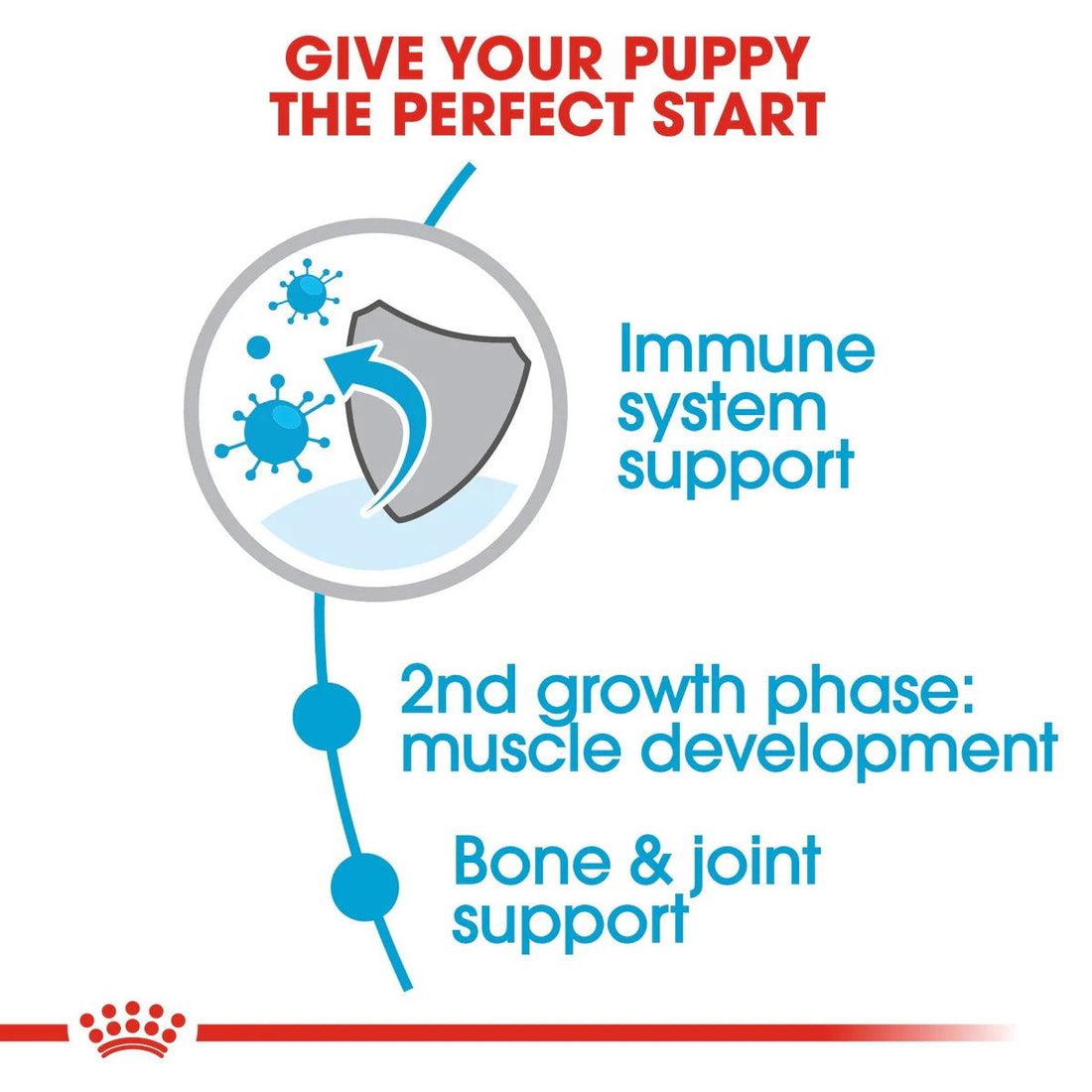 Royal Canin Giant Junior 3.5kg -  - PetsOffice