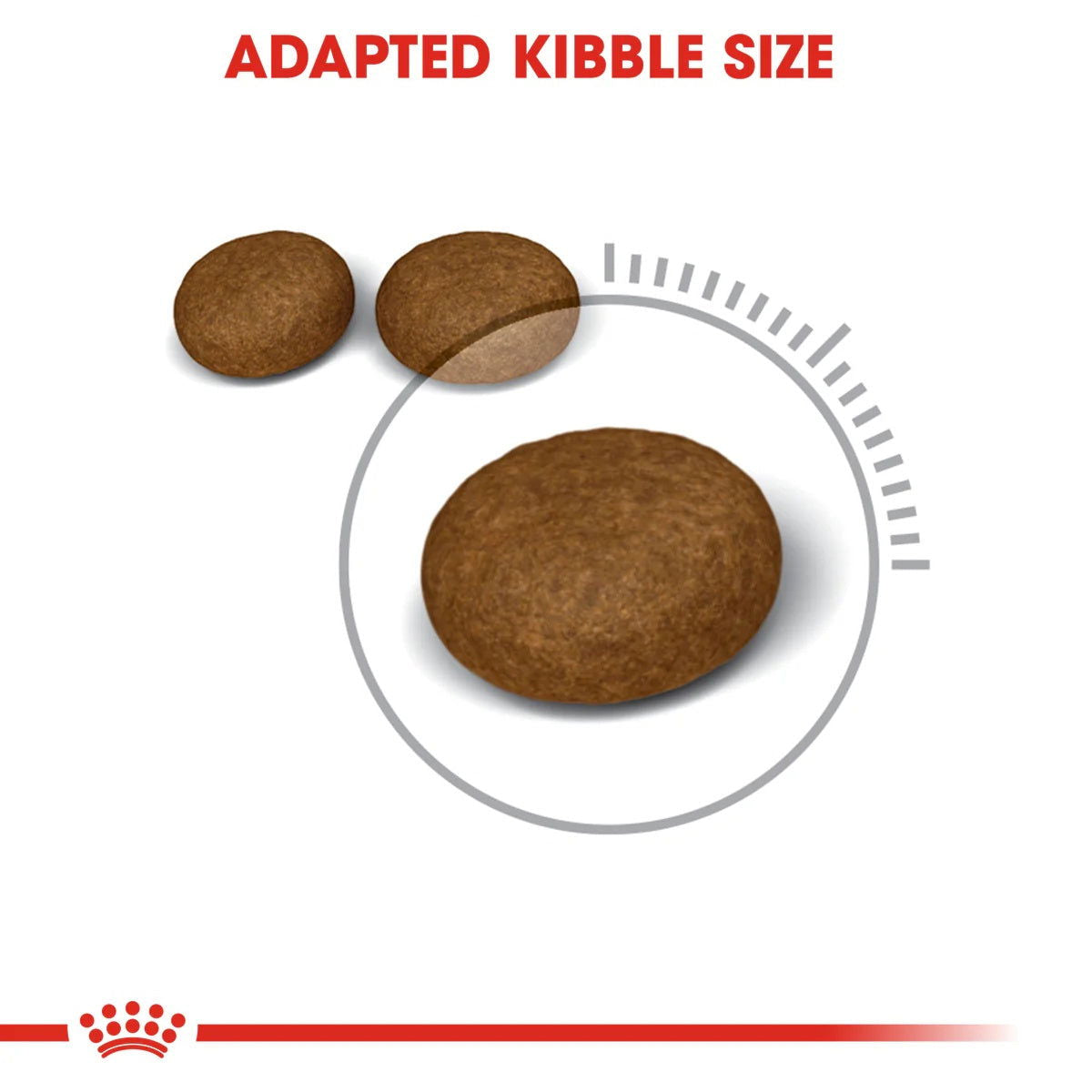 Royal Canin Hair & Skin 4Kg -  - PetsOffice
