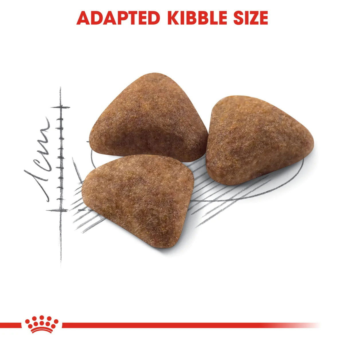 Royal Canin Indoor 10kg -  - PetsOffice