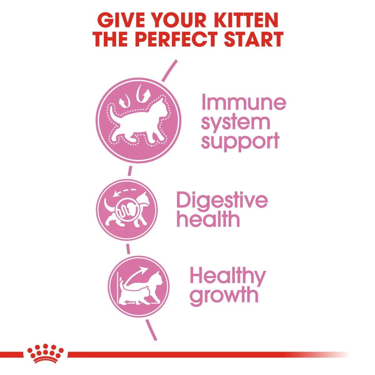 Royal Canin Kitten 36 400g -  - PetsOffice