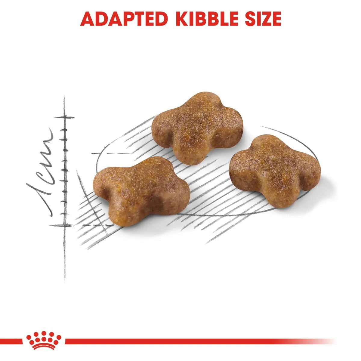 Royal Canin Kitten 36 400g -  - PetsOffice