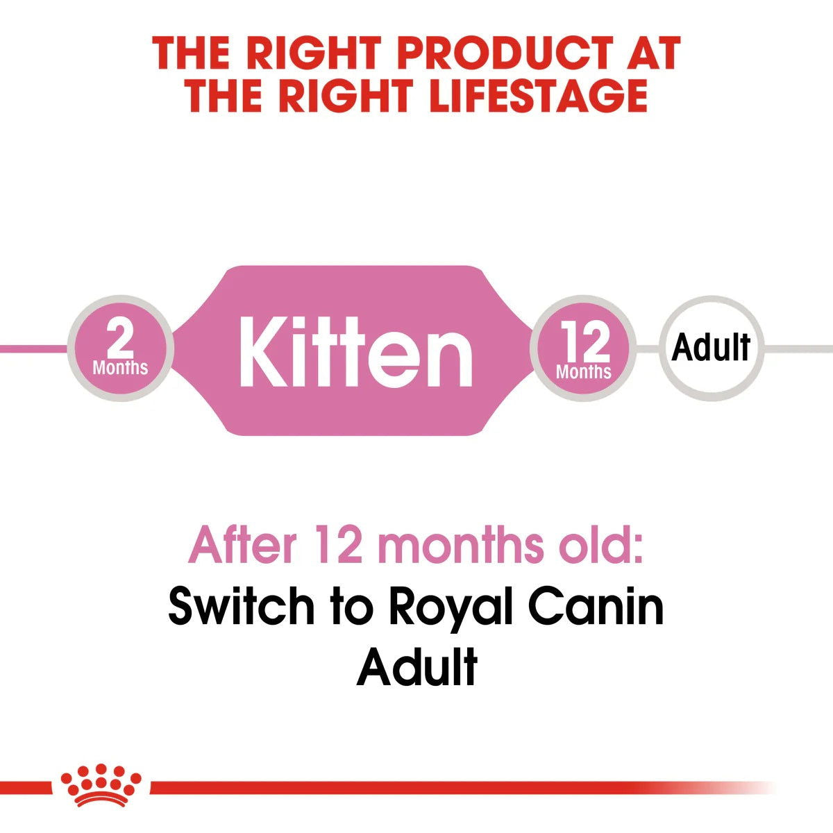Royal Canin Kitten 36 400g -  - PetsOffice
