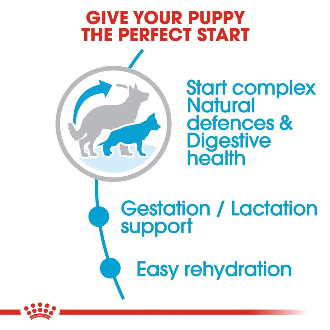 Royal Canin Maxi Starter 4kg -  - PetsOffice