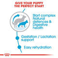 Royal Canin Maxi Starter 4kg -  - PetsOffice