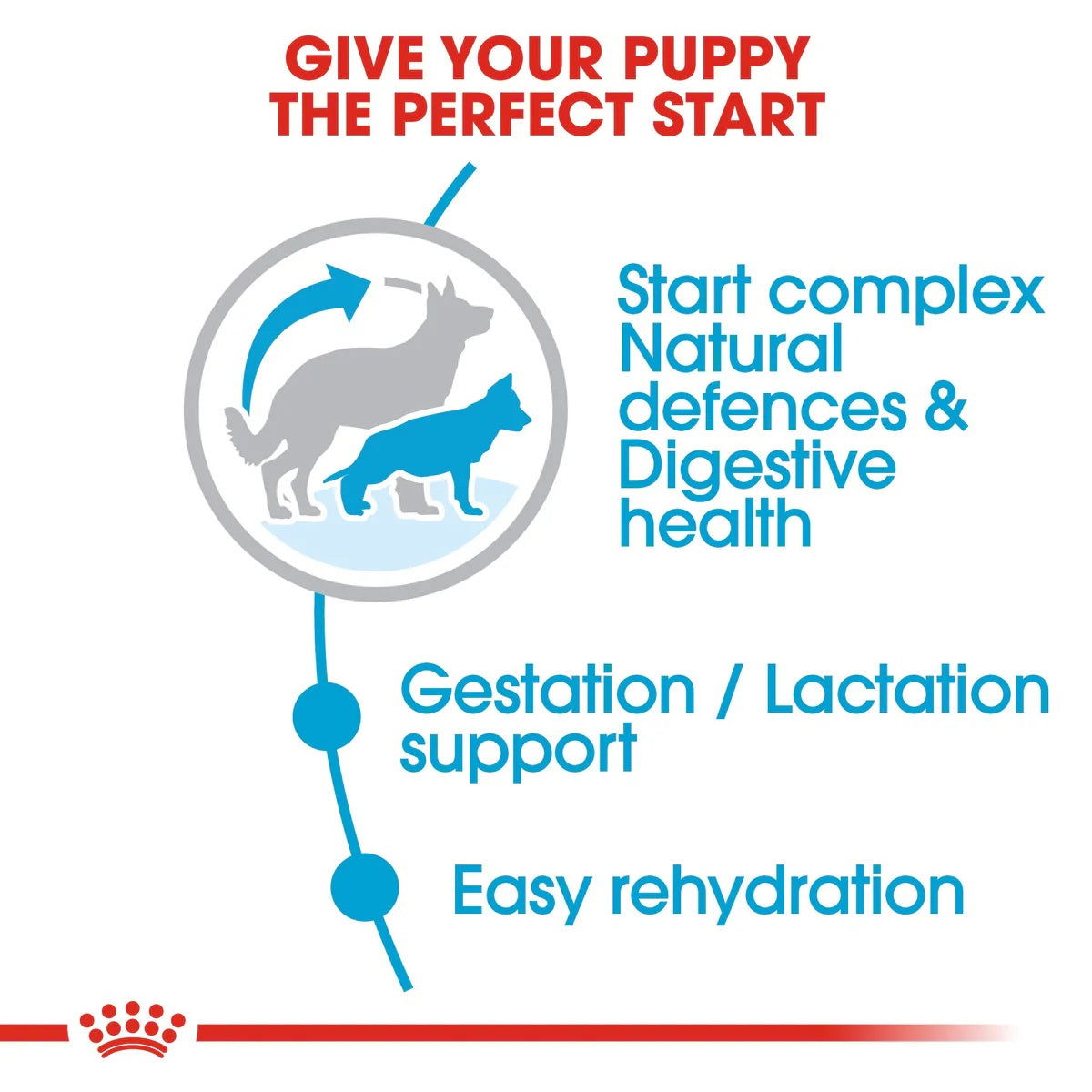 Royal Canin Maxi Starter 4kg -  - PetsOffice