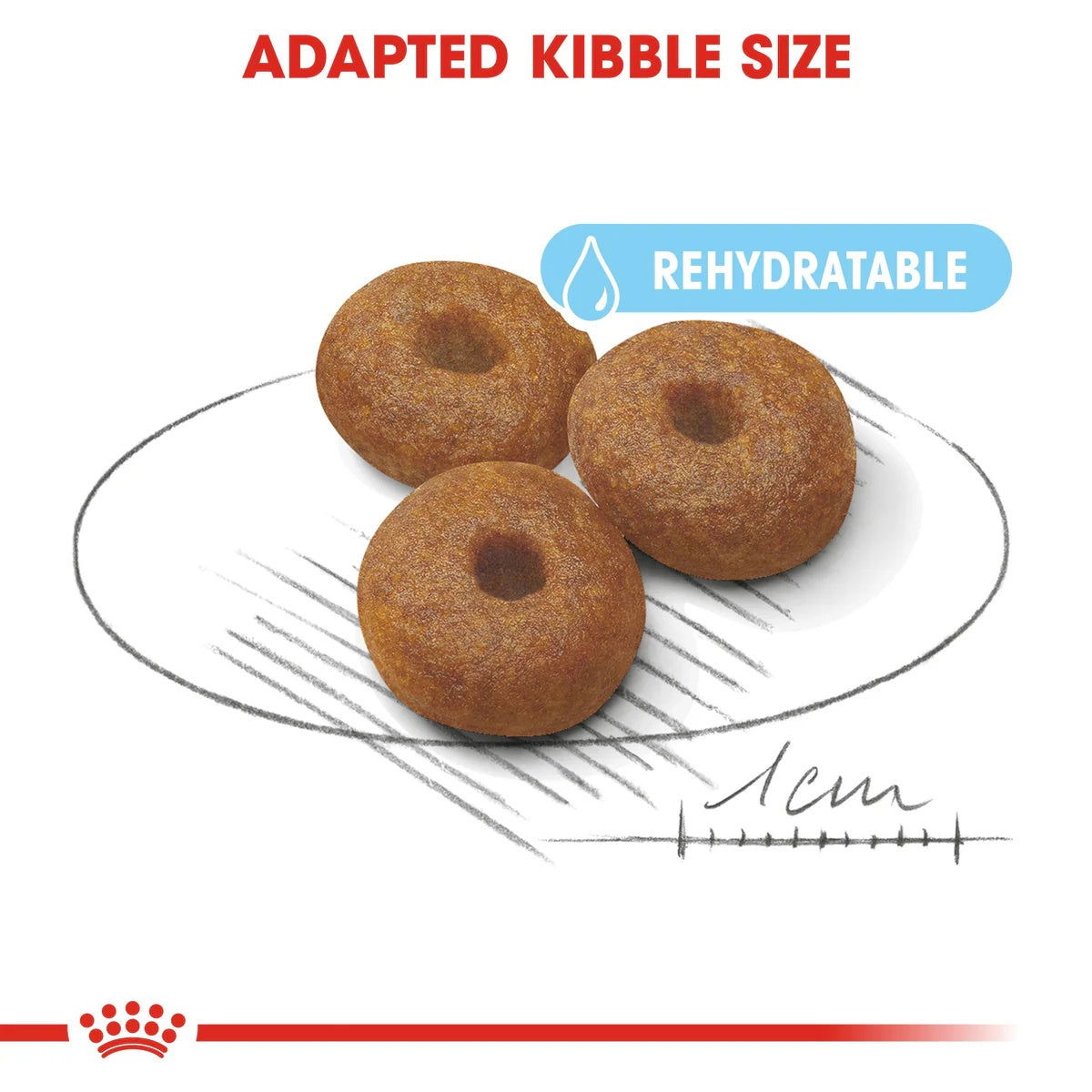 Royal Canin Maxi Starter 4kg -  - PetsOffice