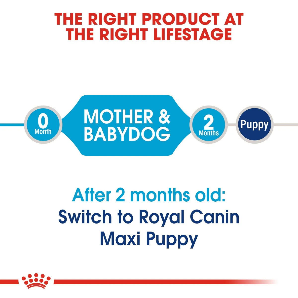 Royal Canin Maxi Starter 4kg -  - PetsOffice