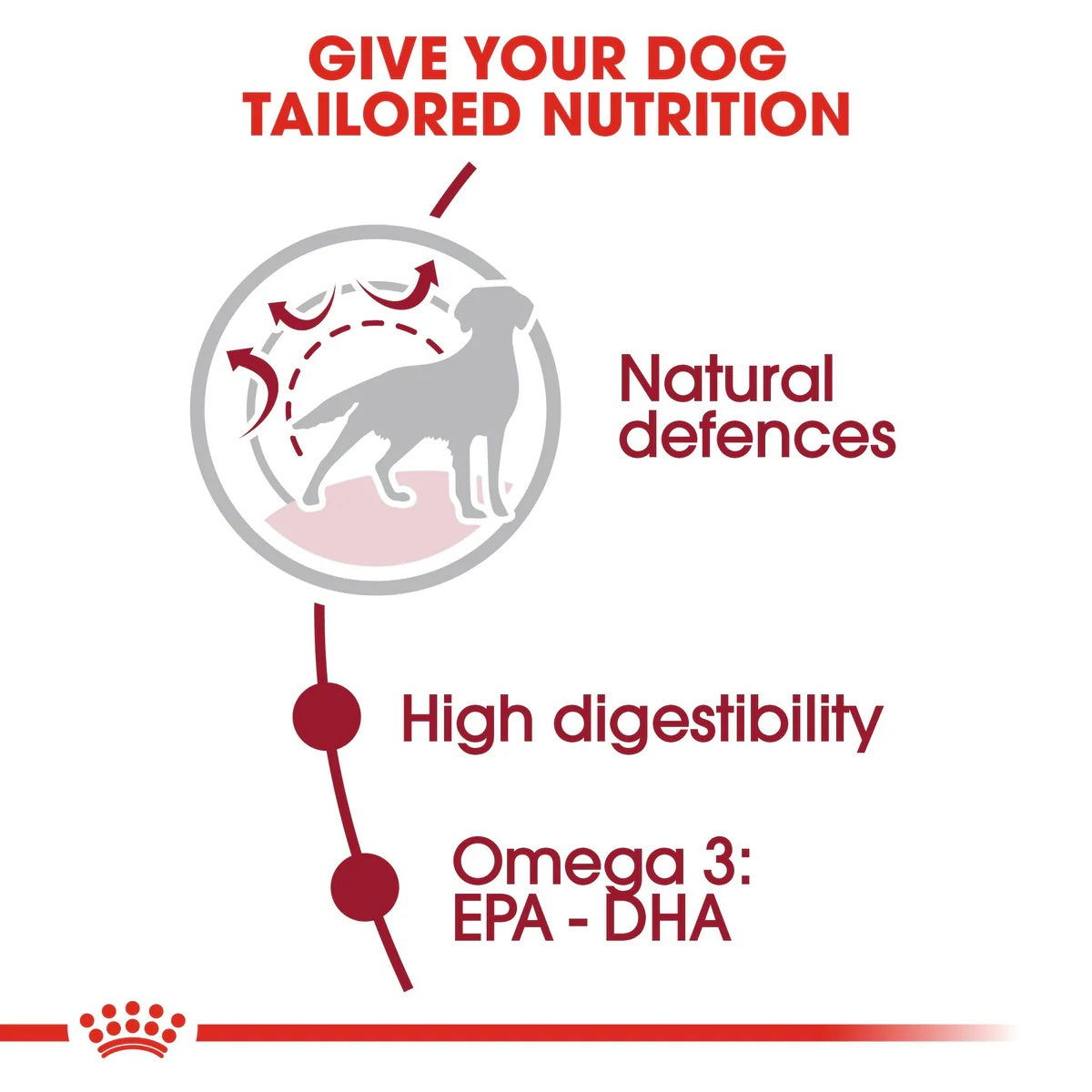 Royal Canin Medium Adult 15kg -  - PetsOffice