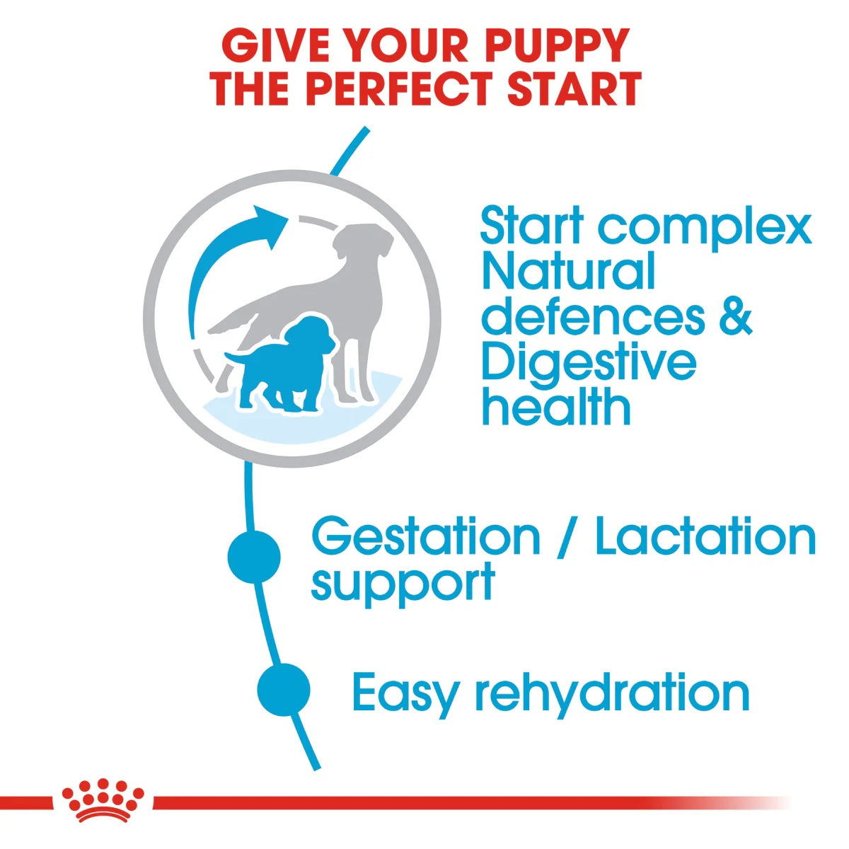 Royal Canin Medium Starter 4kg -  - PetsOffice