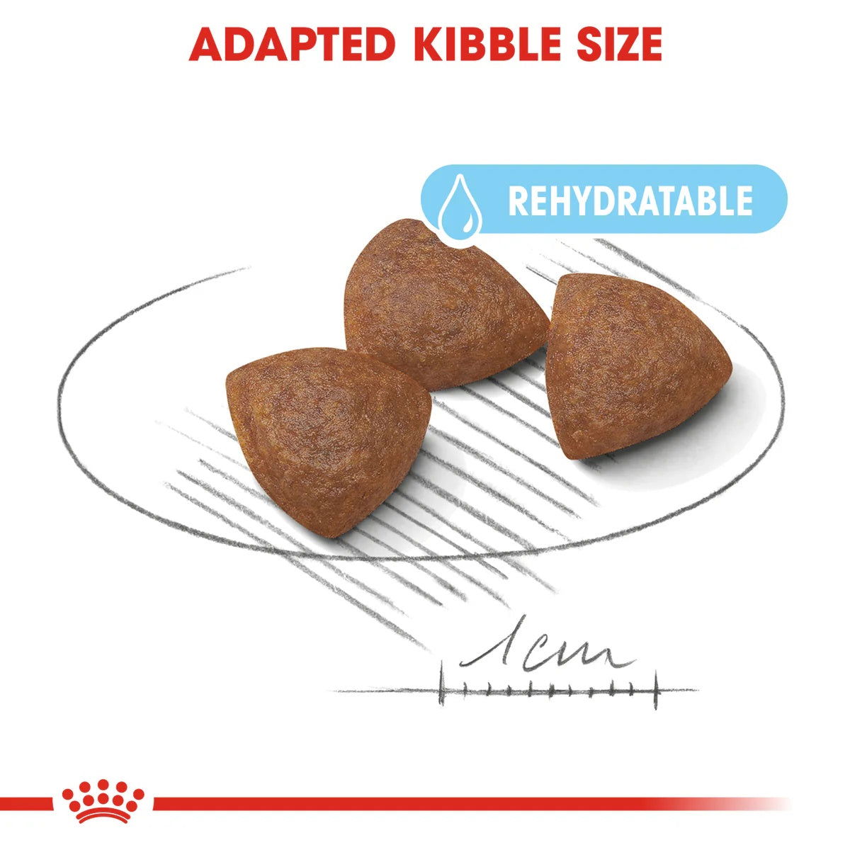 Royal Canin Medium Starter 4kg -  - PetsOffice