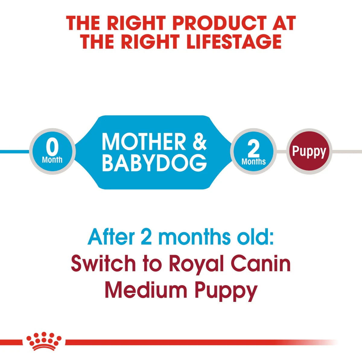Royal Canin Medium Starter 4kg -  - PetsOffice