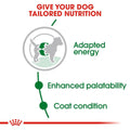 Royal Canin Mini Adult 4kg -  - PetsOffice