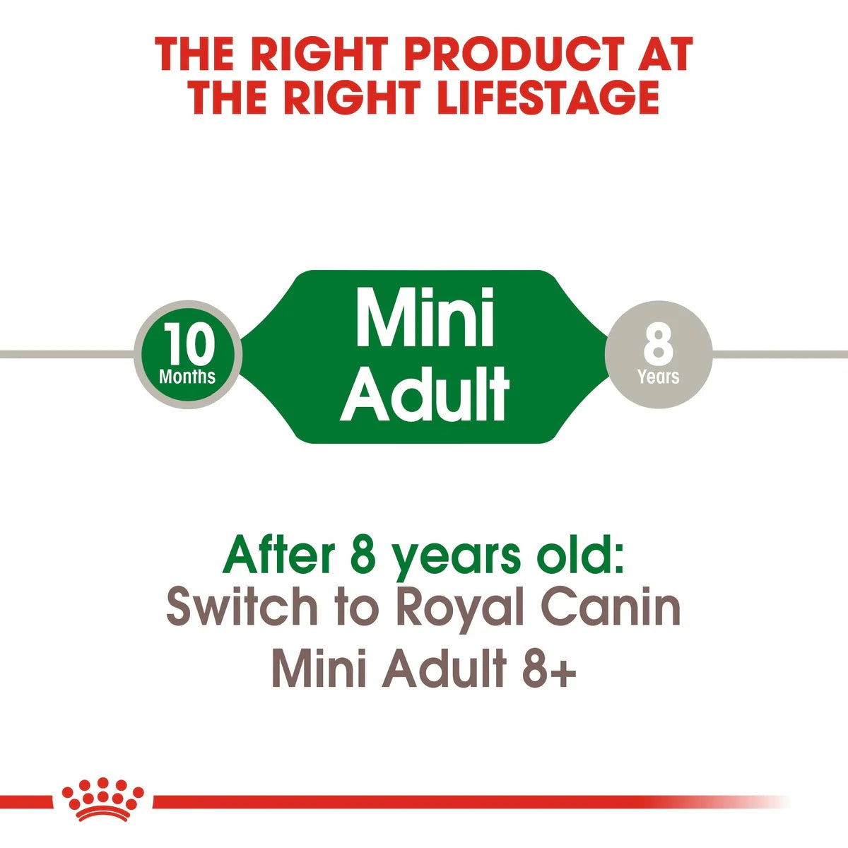 Royal Canin Mini Adult 4kg -  - PetsOffice