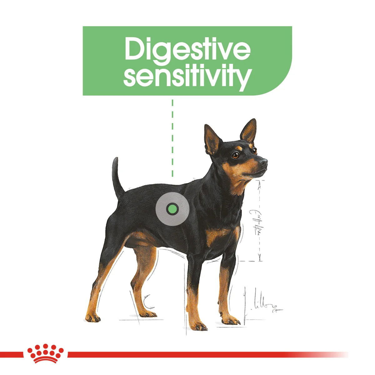 Royal Canin Mini Digestive Care 3kg -  - PetsOffice