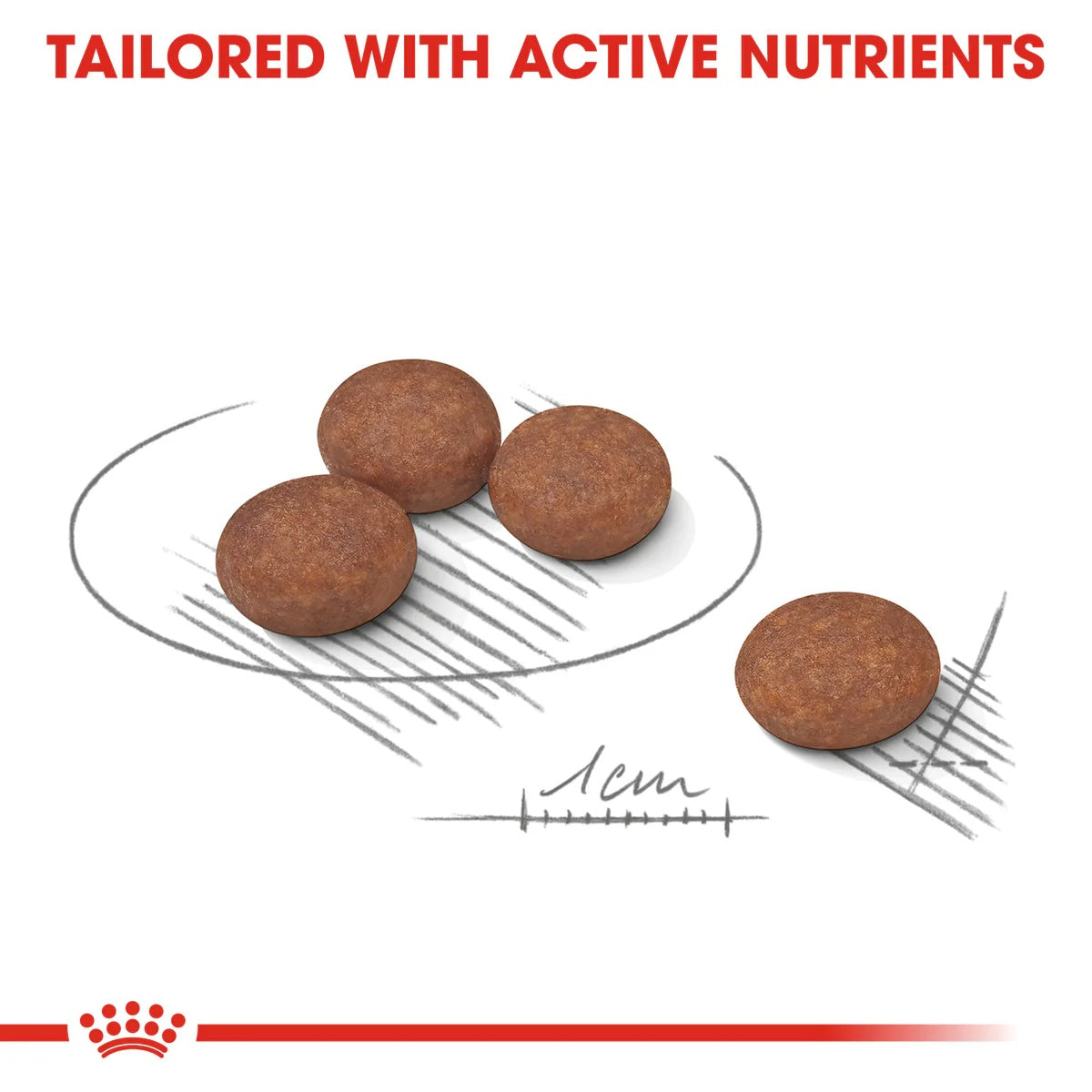 Royal Canin Mini Digestive Care 3kg -  - PetsOffice