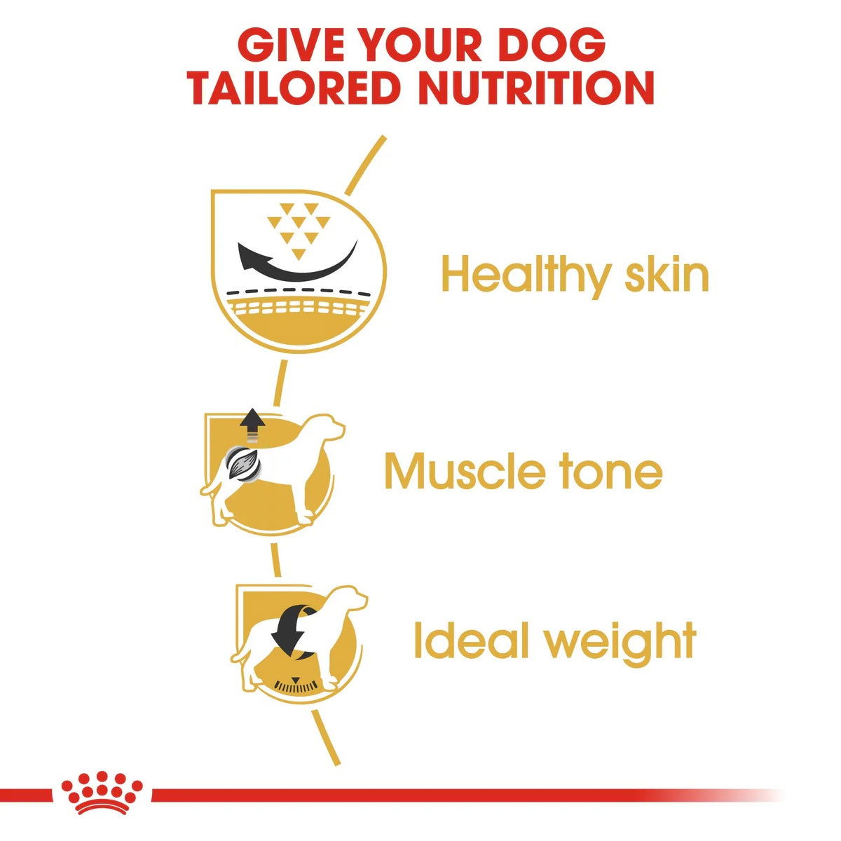 Royal Canin Pug Adult 1.5kg -  - PetsOffice