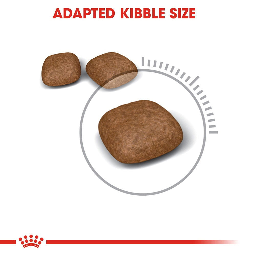 Royal Canin Urinary Care Cat Dry Food 400g -  - PetsOffice