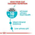 Royal Canin Urinary Care Cat Dry Food 4kg -  - PetsOffice