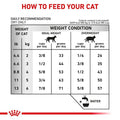 Royal Canin Urinary SO Cat Dry Food 400g -  - PetsOffice