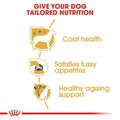 Royal Canin Yorkshire Adult 1.5kg -  - PetsOffice