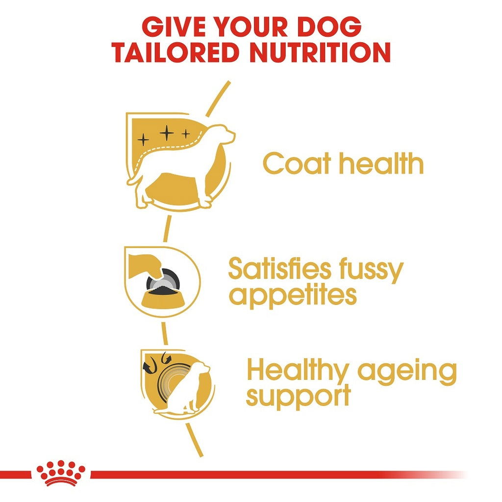 Royal Canin Yorkshire Adult 1.5kg -  - PetsOffice